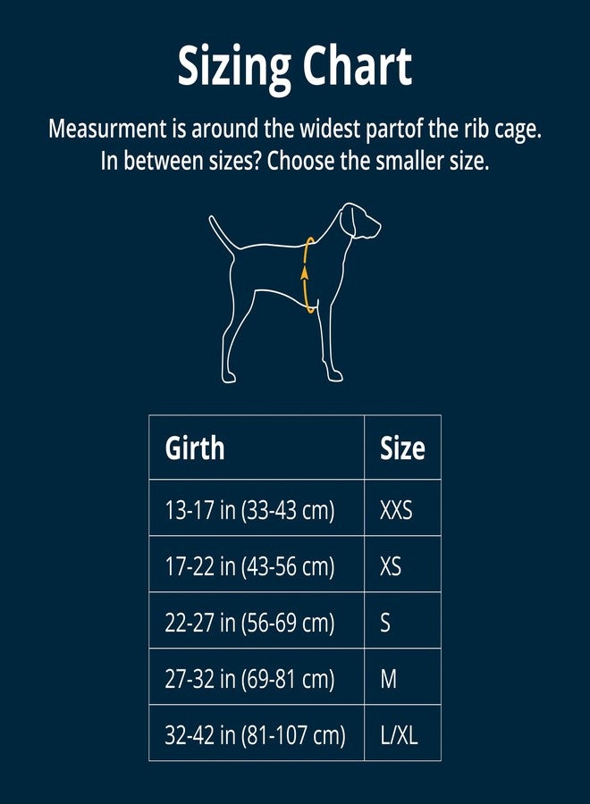 Ruffwear, Load Up Dog Car Harness, Padded Adjustable Travel Restraint with Universal Seat Belt Attachment and Strength-Rated Metal Hardware, for Road Trips in Cars & SUVs, Slate Blue, Small - Image 2